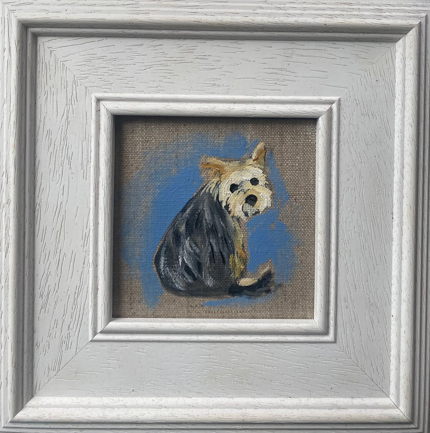 Little Yorkie