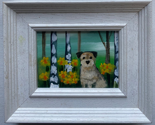 Where The Daffs Grow