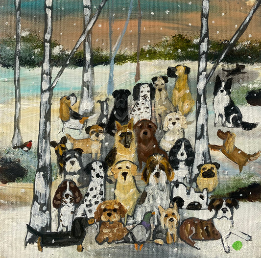 Can Everyone Look At The Camera