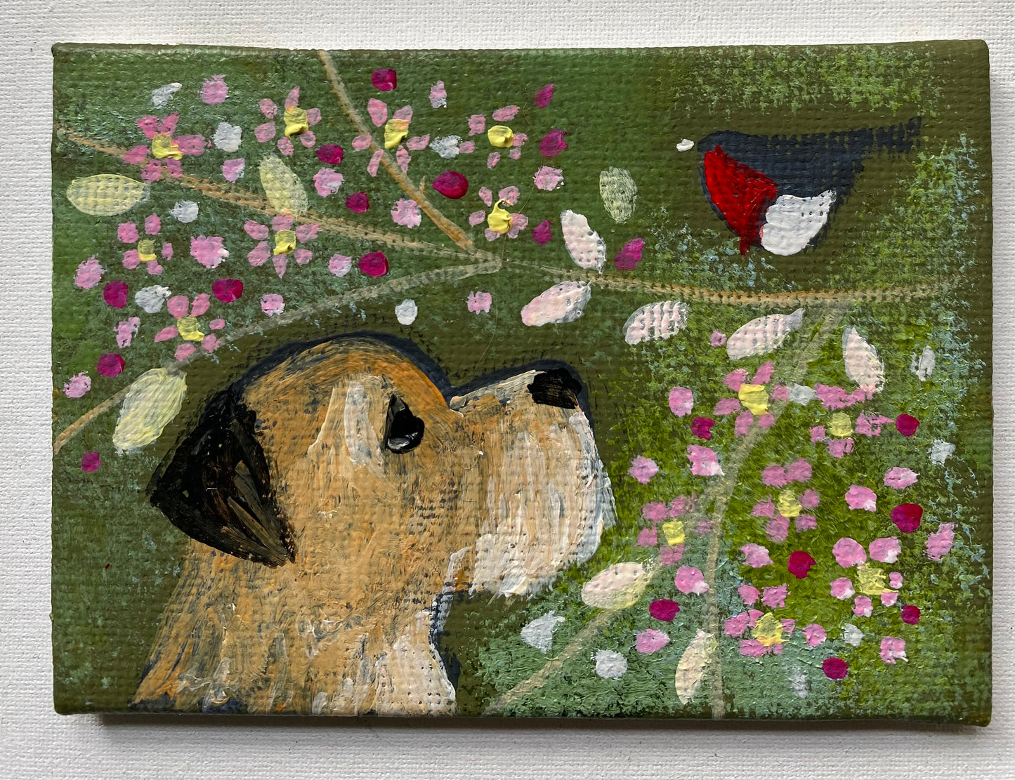 Spring Is On The Way