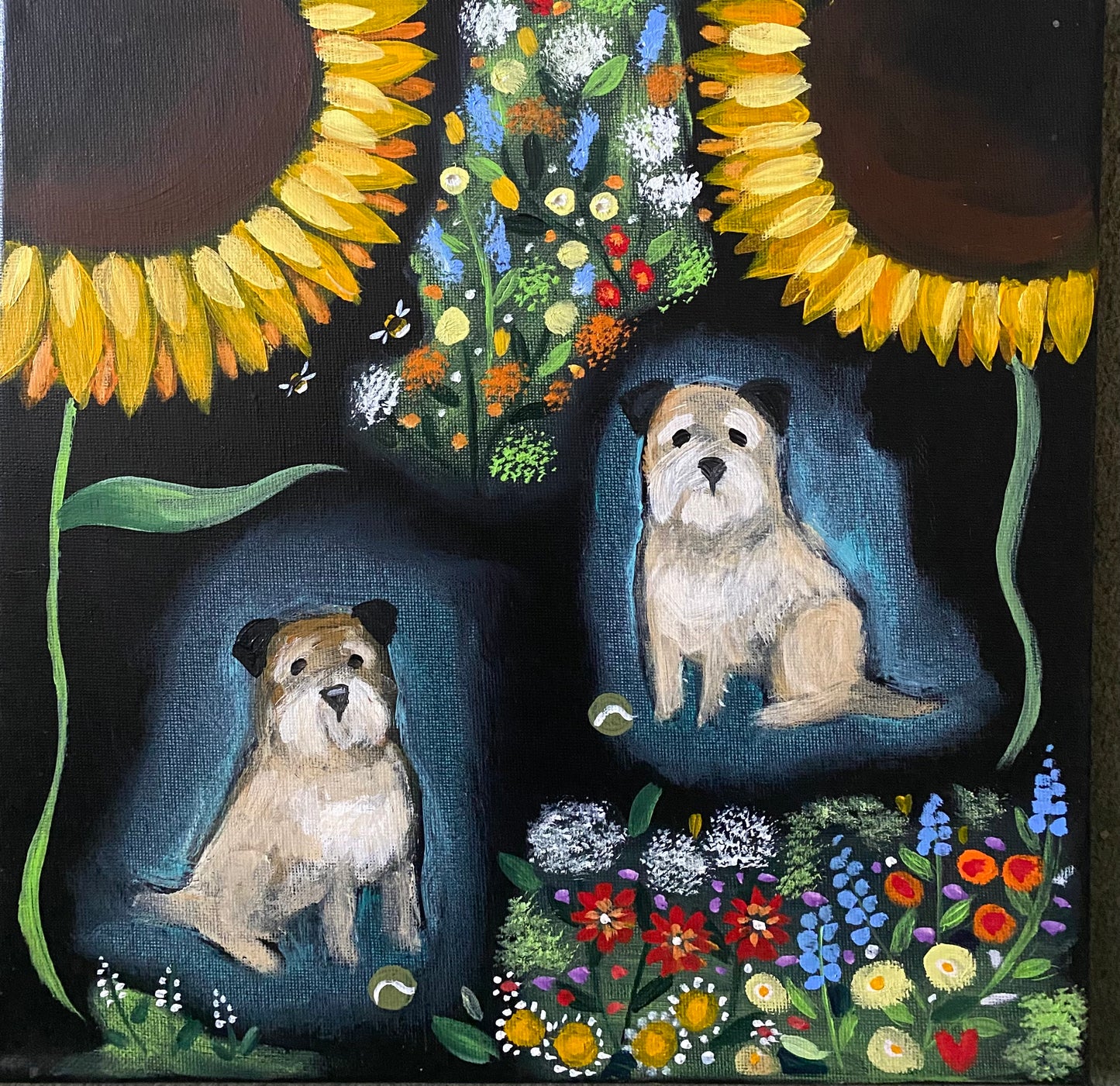 First Sunflowers