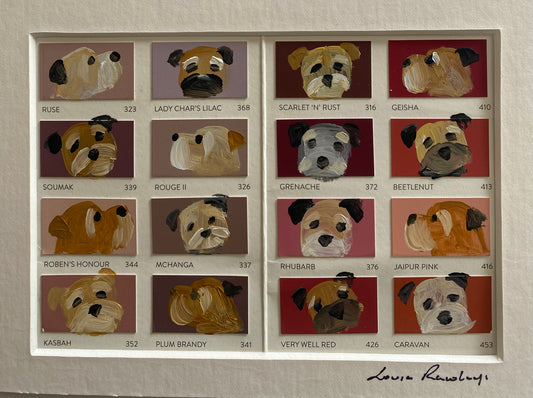 Border colour chart