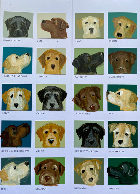 Labrador Bingo