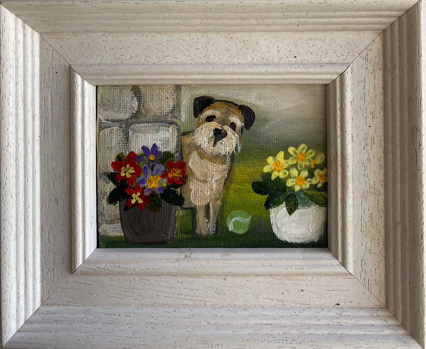 Primrose Peeping