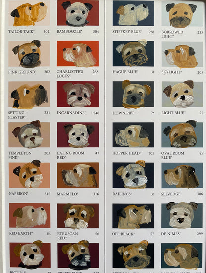 Border Colour Chart