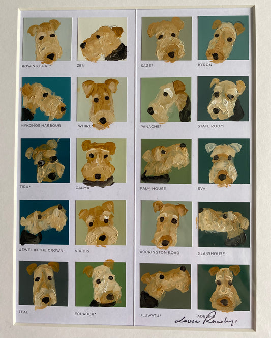 Welsh Terrier Colour Chart