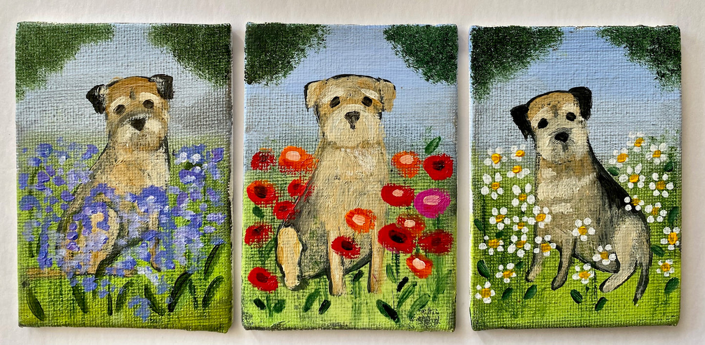 Bluebell, Poppy and Daisy