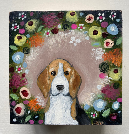 Beagle and Butterfly