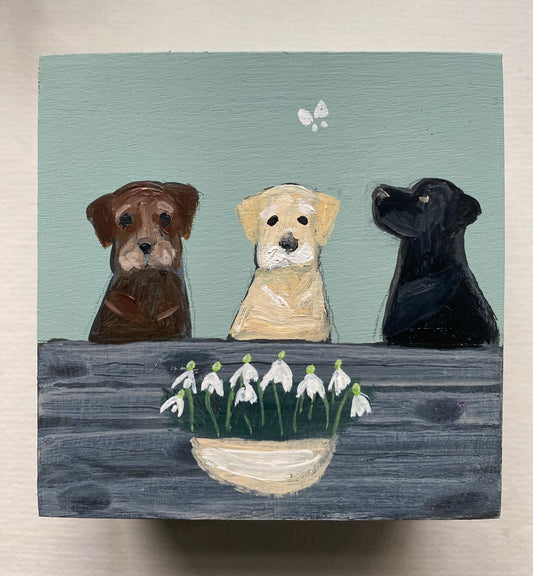 Three Labs and Snowdrops