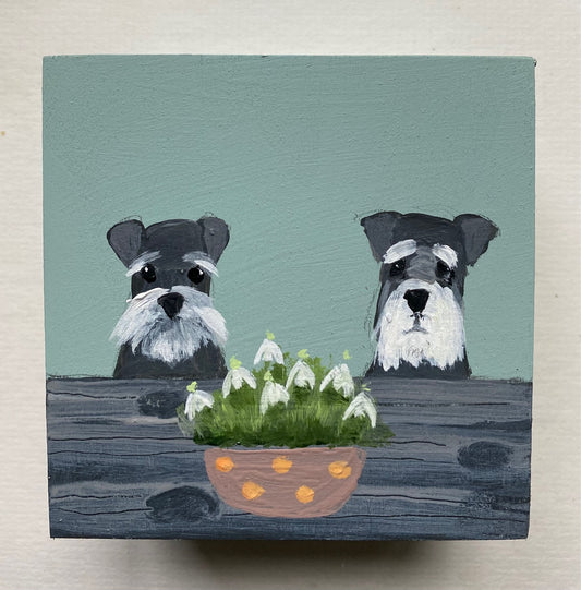 Schnauzers and Snowdrops